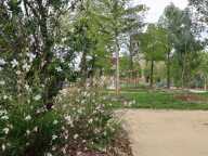 PARC UNIVERSITE — photo 4
