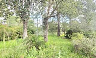 Terrain  1000 m² à vendre à Lecci (20137)