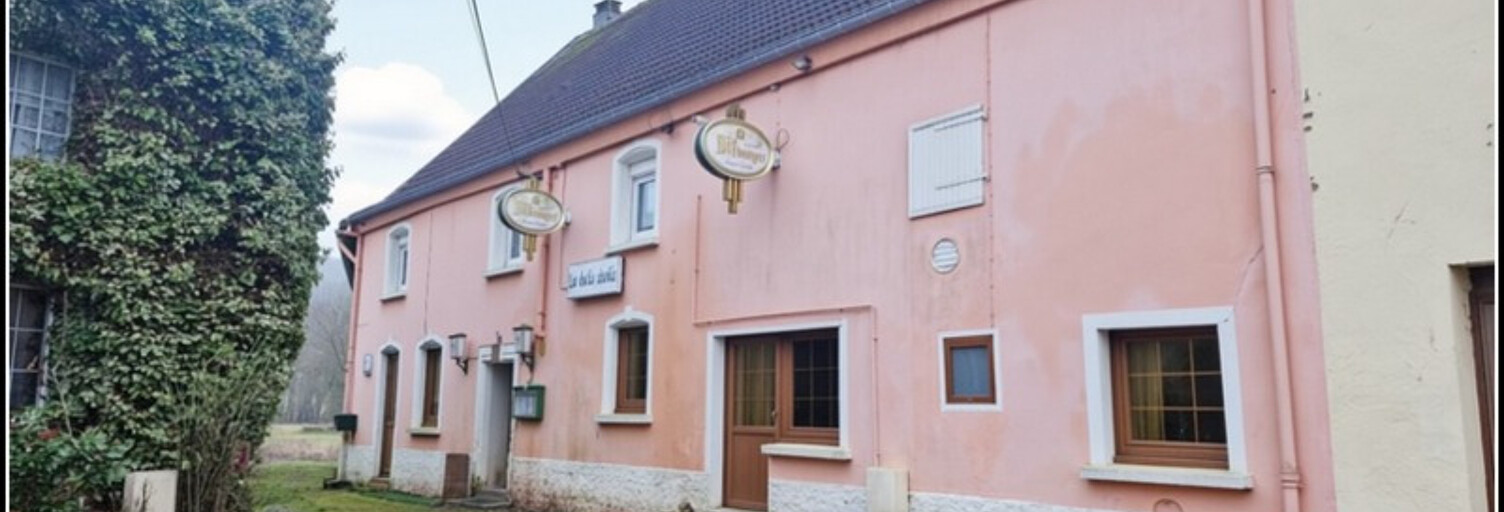 Maison 9 Pièces 310 m² à vendre à Blies-Guersviller (57200)