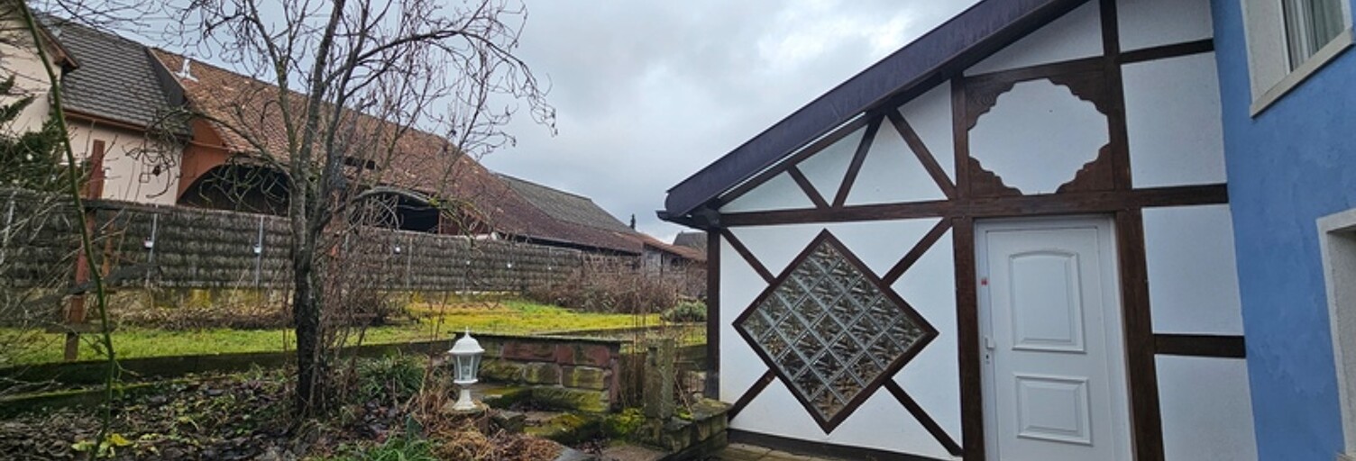 Maison 7 Pièces 224 m² à vendre à Werentzhouse (68480)