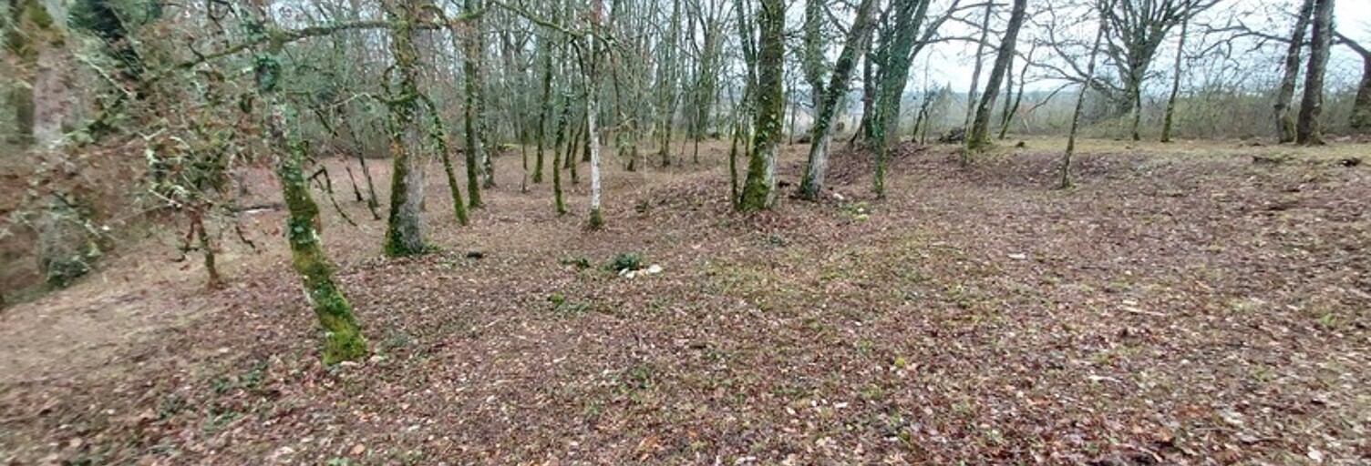 Terrain  1255 m² à vendre à Baladou (46600)