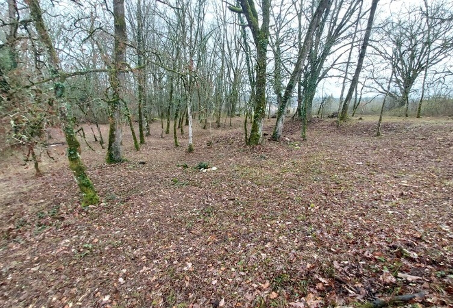 Terrain à vendre de 1 255,00 m² BALADOU (46) — photo 1