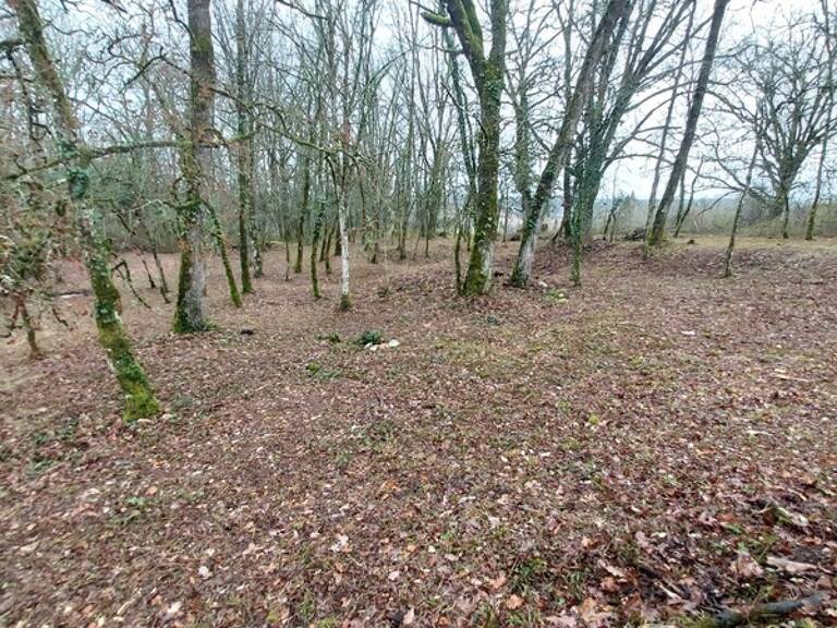 Terrain à vendre de 1 255,00 m² BALADOU (46) — photo 1