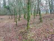 Terrain à vendre de 1 255,00 m² BALADOU (46) — photo 2
