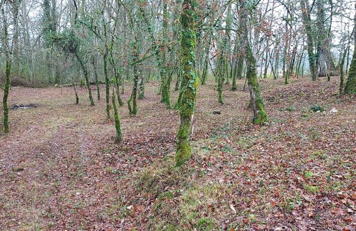 Terrain à vendre de 1 255,00 m² BALADOU (46) — photo 2