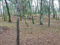 Terrain à vendre de 1 255,00 m² BALADOU (46) — photo 3