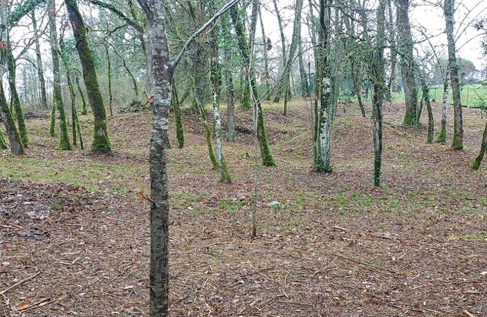 Terrain à vendre de 1 255,00 m² BALADOU (46) — photo 3