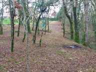 Terrain à vendre de 1 255,00 m² BALADOU (46) — photo 4