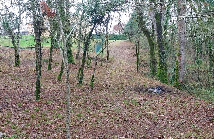 Terrain à vendre de 1 255,00 m² BALADOU (46) — photo 4