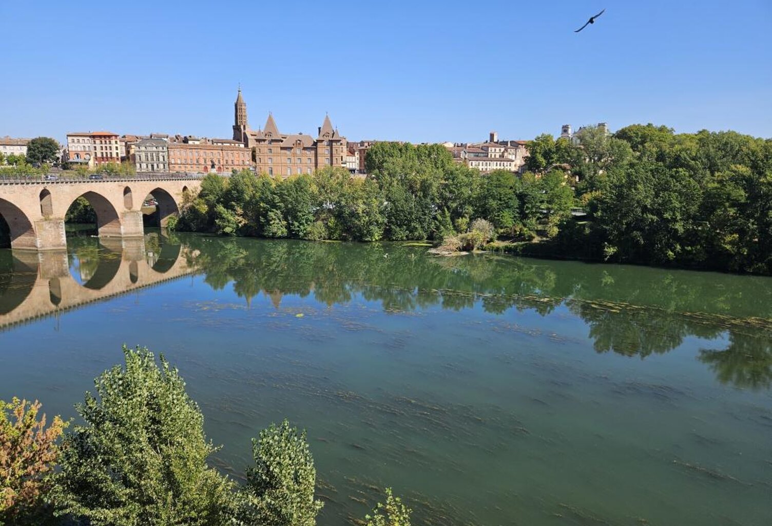Magnifique appartement T3 avec très belle vue Montauban centre — photo 1