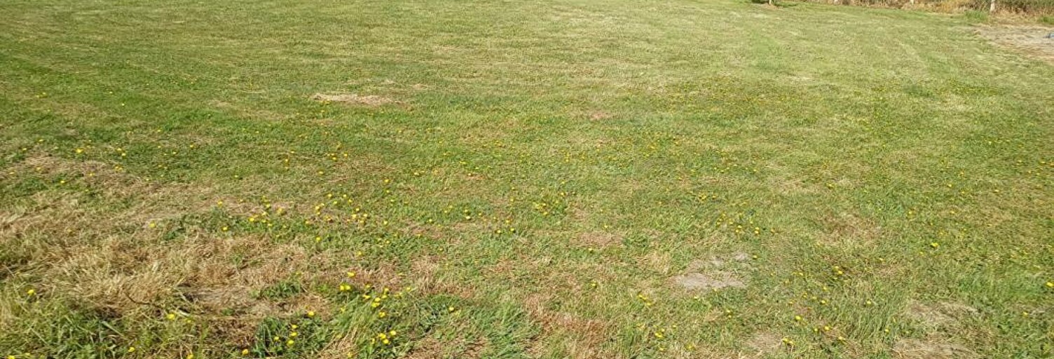 Terrain  1500 m² à vendre à Saint-Laurent-sur-Mer (14710)