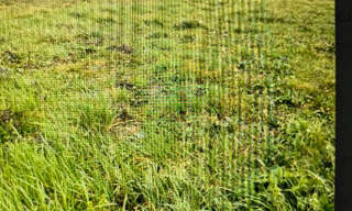 Terrain  20000 m² à vendre à Blaye (33390)