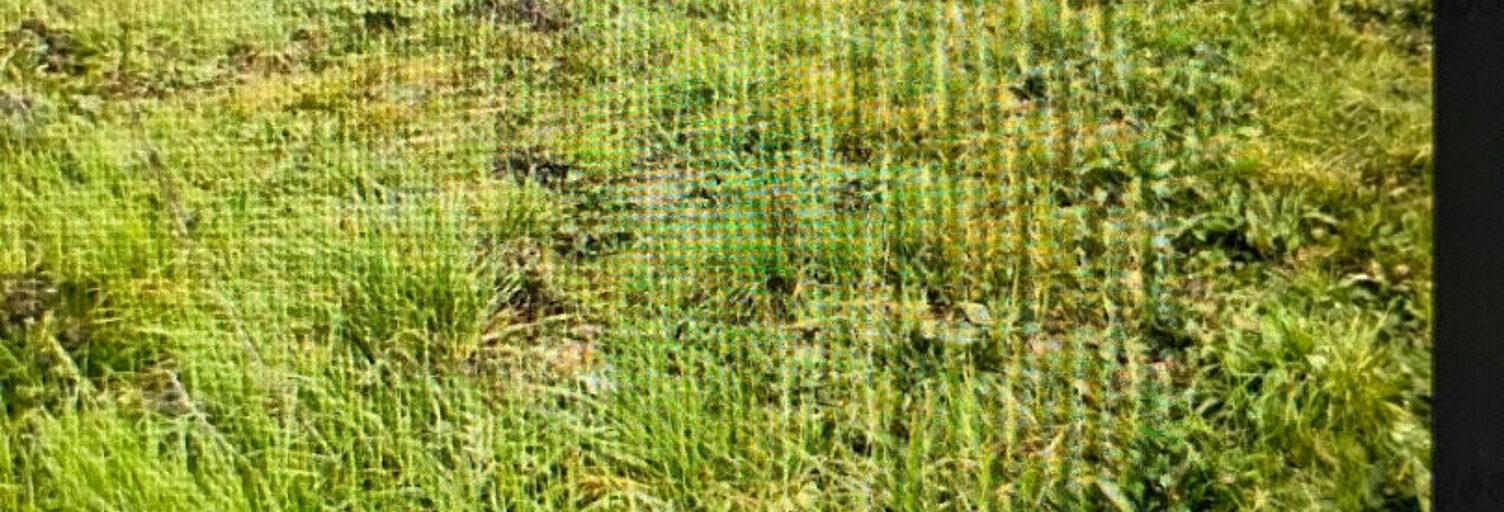 Terrain  20000 m² à vendre à Blaye (33390)