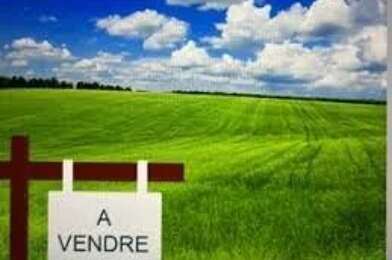 Terrain  251000 €