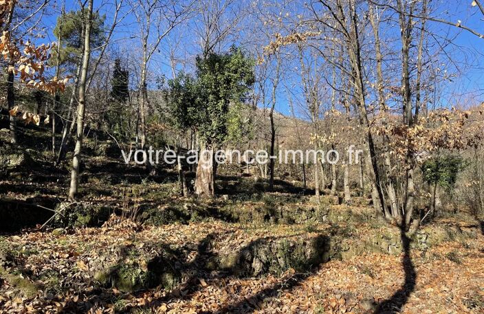 TERRAIN + PERMIS PURGE + GRANGE - COARAZE — photo 3
