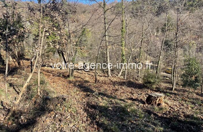 TERRAIN + PERMIS PURGE + GRANGE - COARAZE — photo 5