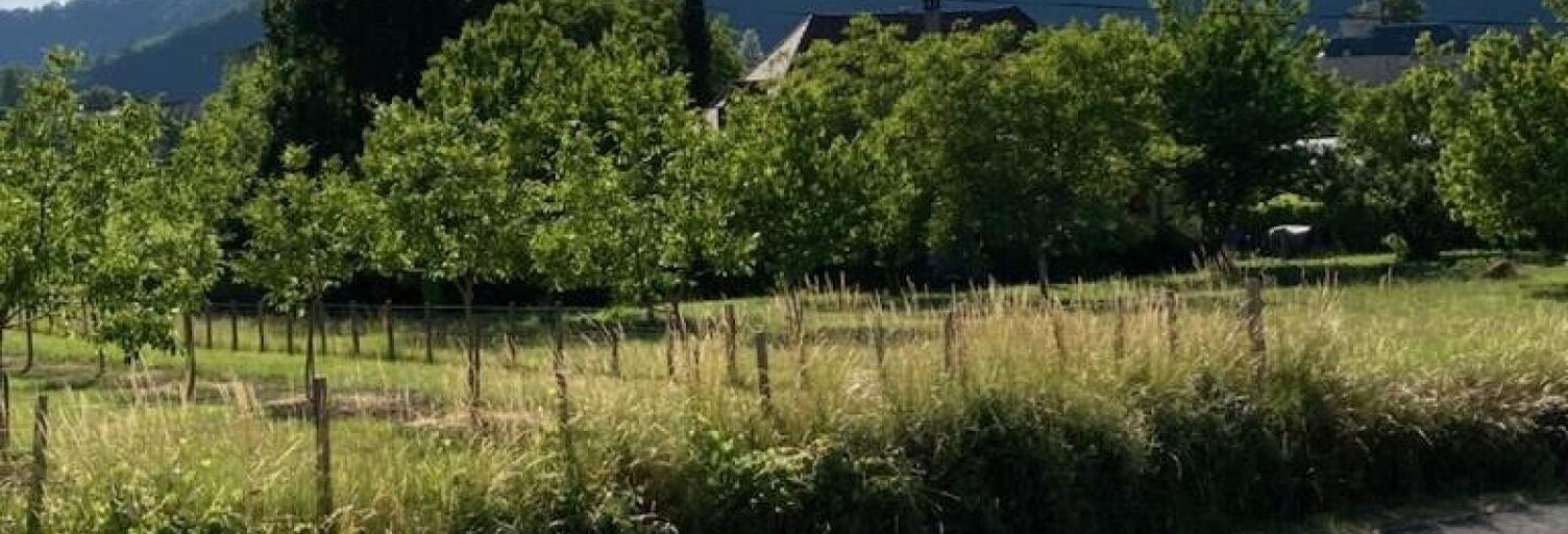 Terrain  900 m² à vendre à Caillac (46140)