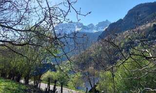Photo N° 2