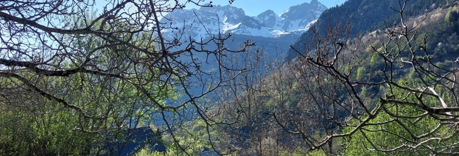 Photo N° 2