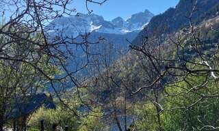 Photo N° 2