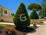 MAISON 5 PIECES 297M² A VENDRE LA JONCHERE — photo 2
