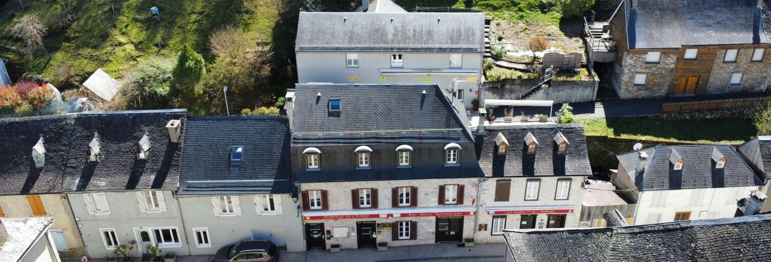 Commerce  200 m² à vendre à Saint-Lary (09800)