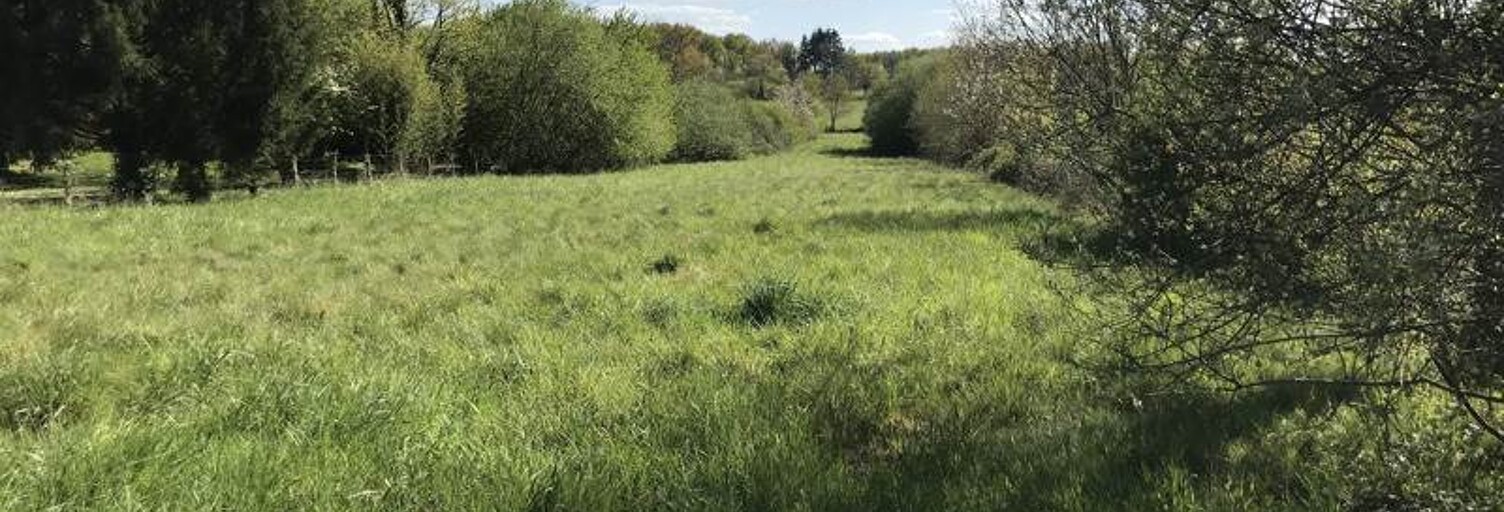 Terrain  2489 m² à vendre à Écuras (16220)