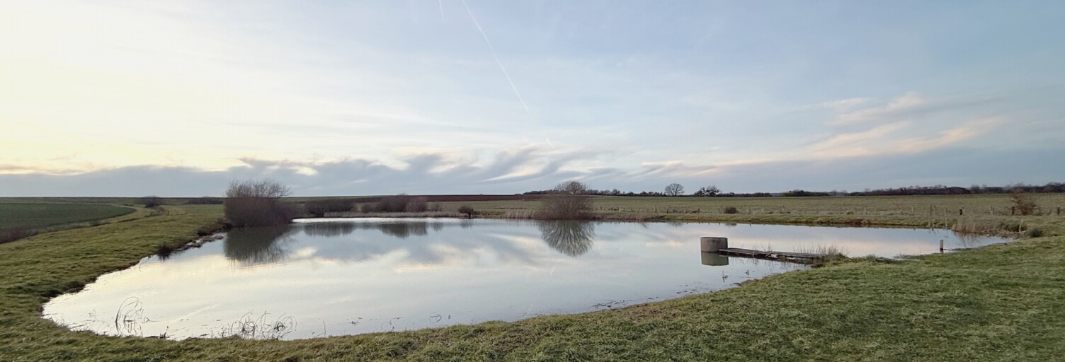 Terrain  35736 m² à vendre à Thimonville (57580)