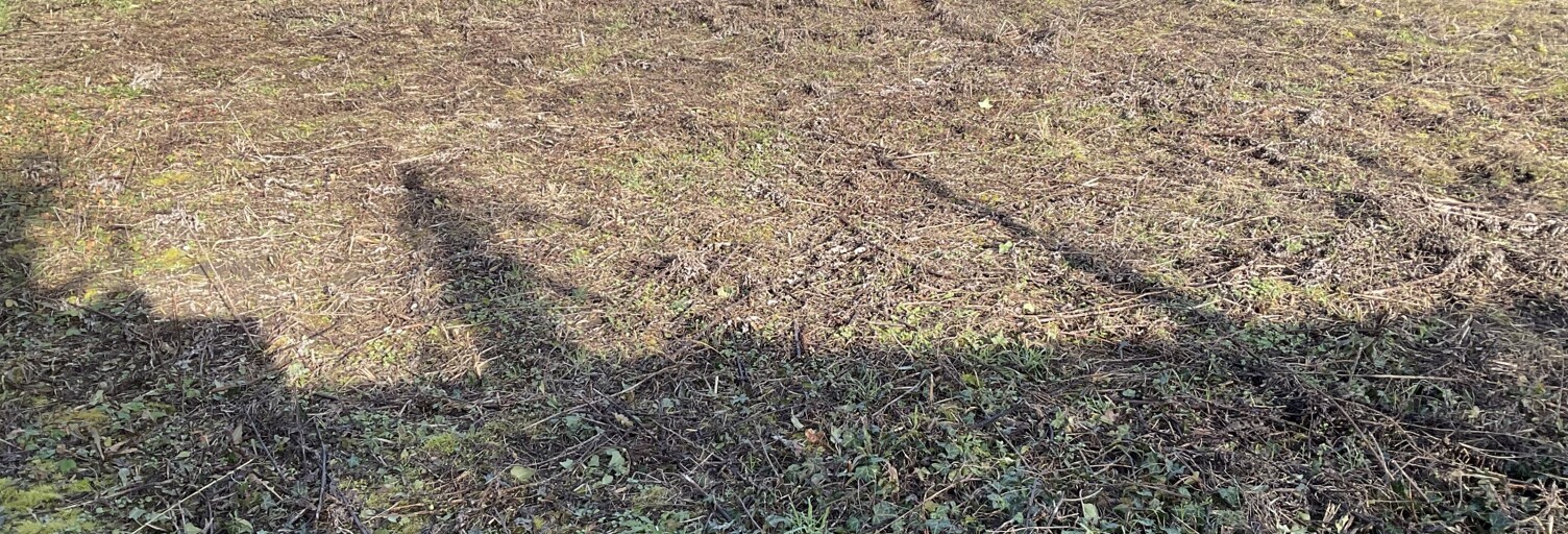 Terrain  431 m² à vendre à Wasnes-au-Bac (59252)