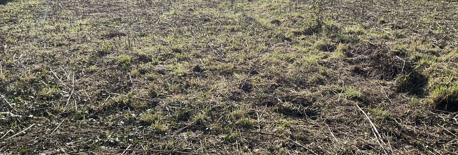 Terrain  431 m² à vendre à Wasnes-au-Bac (59252)