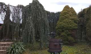 Maison 10 Pièces 150 m² à vendre à Roppe (90380)