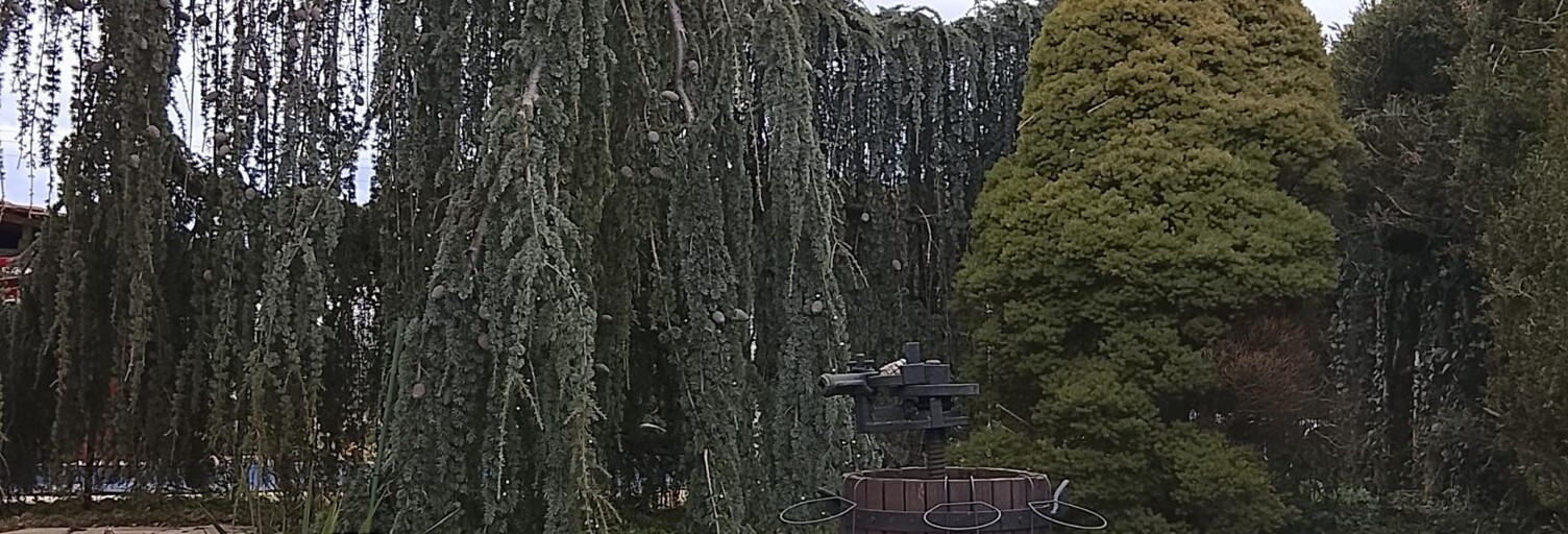 Maison 10 Pièces 150 m² à vendre à Roppe (90380)