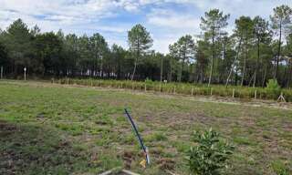 Terrain 670 m² à construire Parentis-en-Born (40160)