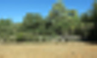 Terrain 3100 m² à construire Saint-Maximin-la-Sainte-Baume (83470)