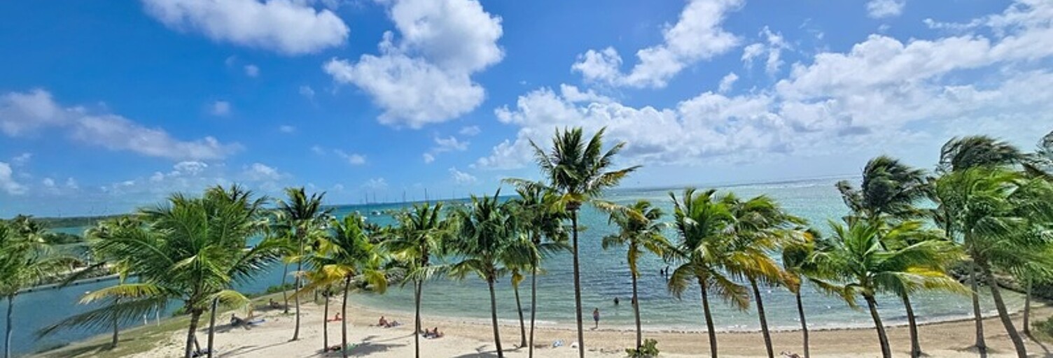 Appartement 3 Pièces 97 m² à vendre à Saint-François (97118)