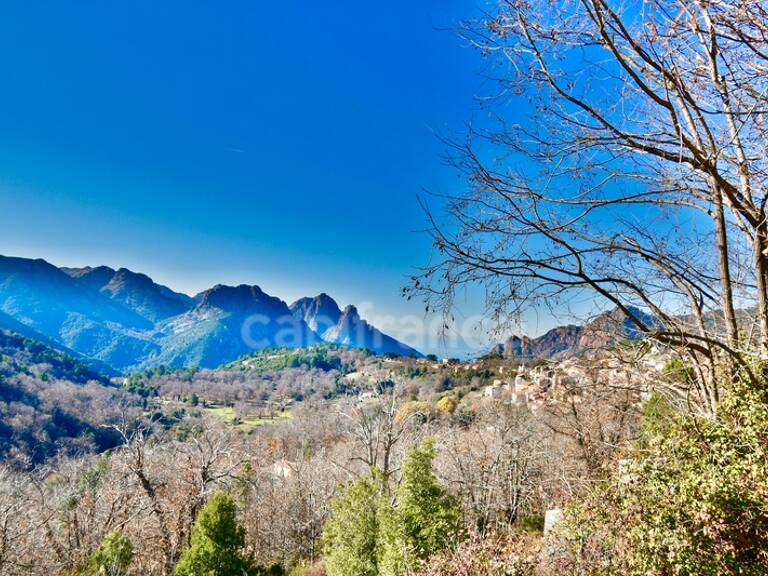 EVISA (CORSE) A VENDRE : Ensemble immobilier touristique : bâtiment gîte-hôtel/restaurant + 6 chalets avec piscine — photo 1