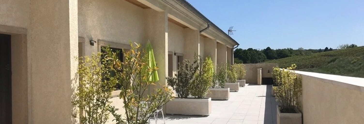 Maison 22 Pièces 869 m² à vendre à Châtillon-sur-Marne (51700)