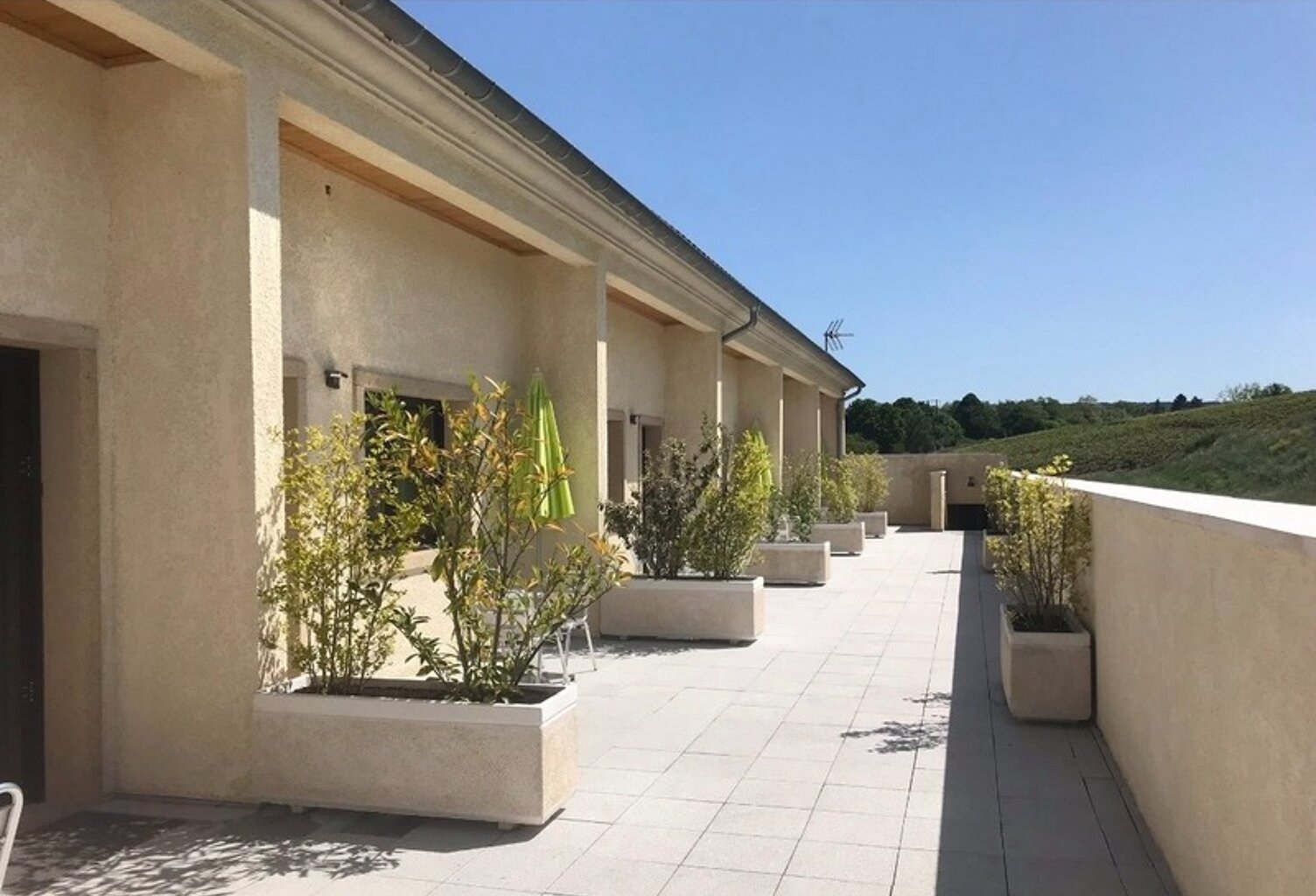 Domaine  à vendre 22 pièces — photo 1
