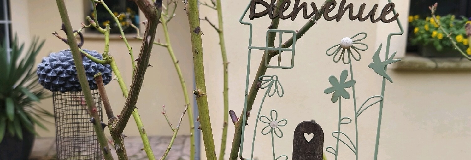 Maison 6 Pièces 262 m² à vendre à Champagne-sur-Oise (95660)