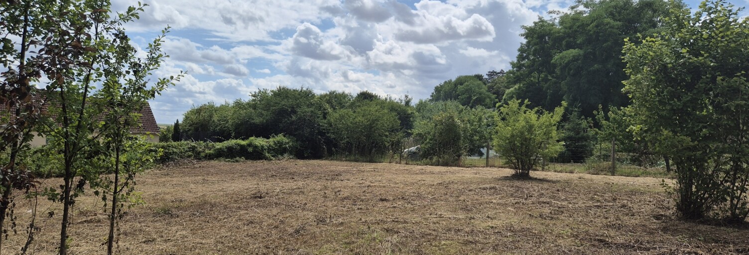 Terrain  1039 m² à vendre à Laroche-Saint-Cydroine (89400)