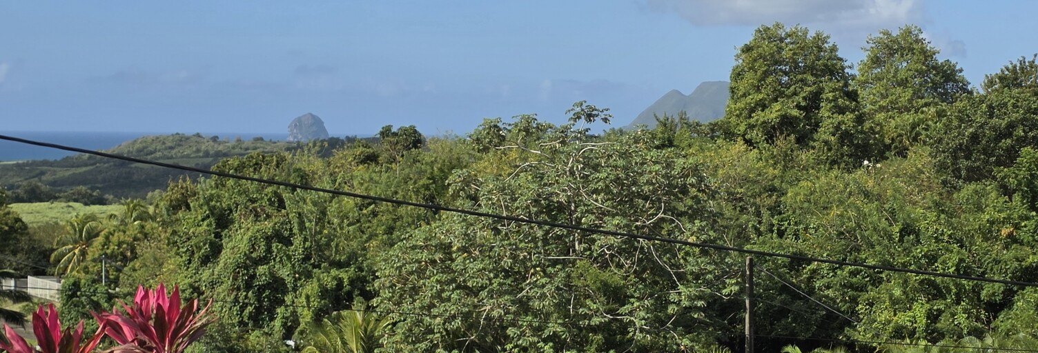 Maison 5 Pièces 120 m² à vendre à Sainte-Luce (97228)