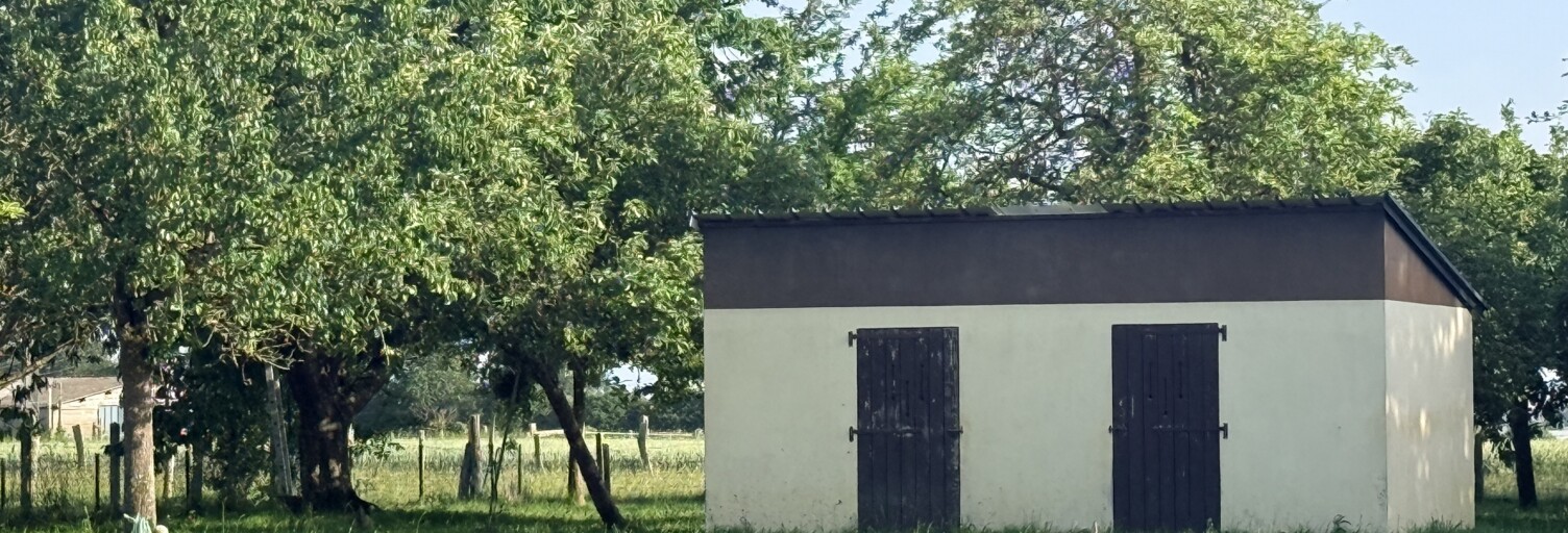 Photo N° 2