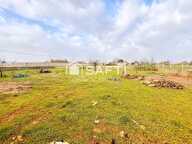 Volumes généreux, terrain arboré de 1 500 m² et projet locatif envisageable — photo 2