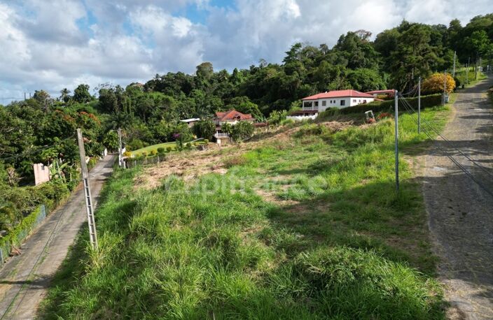 A vendre Terrain de 2822m² avec vue mer - La crique - TRINITE — photo 4