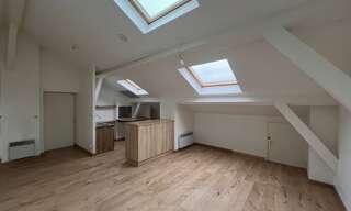 Appartement 3 Pièces 47 m² à louer à Lyon 7 (69007)