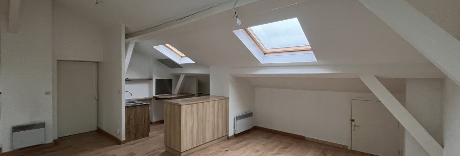 Appartement 3 Pièces 47 m² à louer à Lyon 7 (69007)