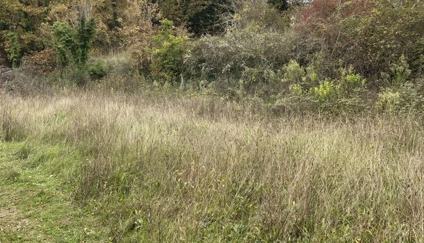 Terrain  à vendre Montmeyan 83670