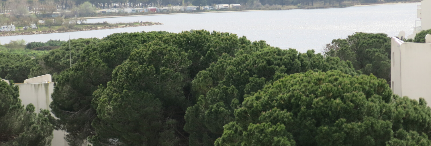 Appartement 1 Pièce 26 m² à vendre à Le Grau-du-Roi (30240)