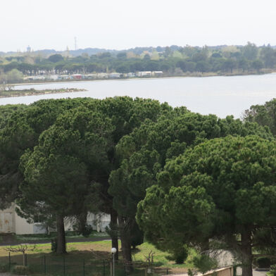 Appartement 1 pièces 168000 €