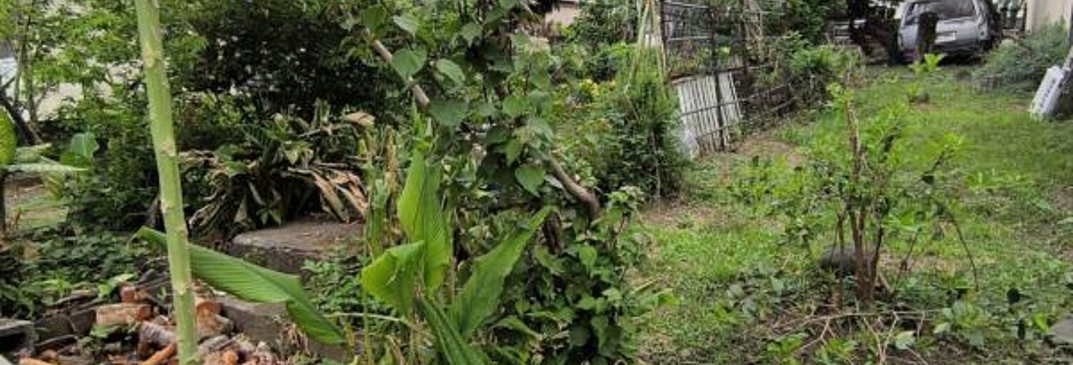 Terrain   m² à vendre à Saint-André (97440)